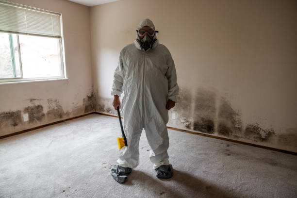 Biohazard Mold Removal in Coats Bend, AL